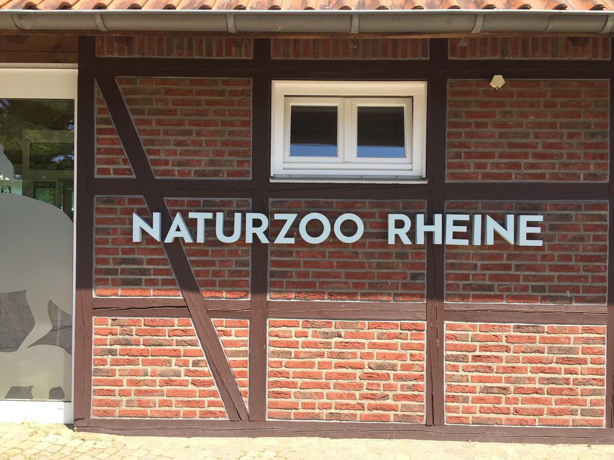 Ferienwohnungen Rheine Markt 12 Ngoại thất bức ảnh